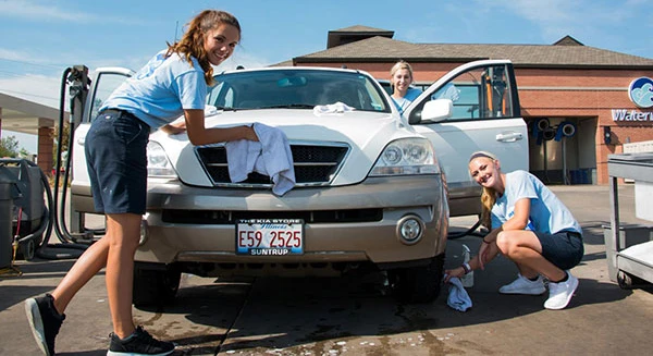 Wax & Protect - Paint - Exterior - Car Care